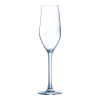 Champagne Flute 17 cl