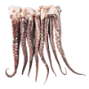 Inktvis tentakels 800-2000 gram