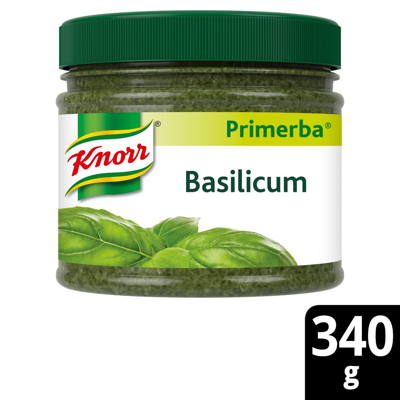 Kruidenpasta basilicum