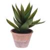 Kunstplant cactus in terracotta pot